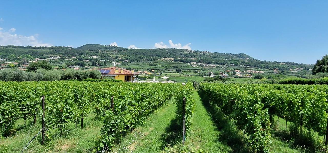 Appartamenti A Бардолино Экстерьер фото